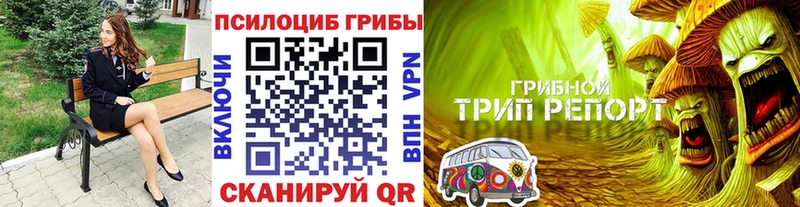 Псилоцибиновые грибы мицелий  kraken   Черкесск 